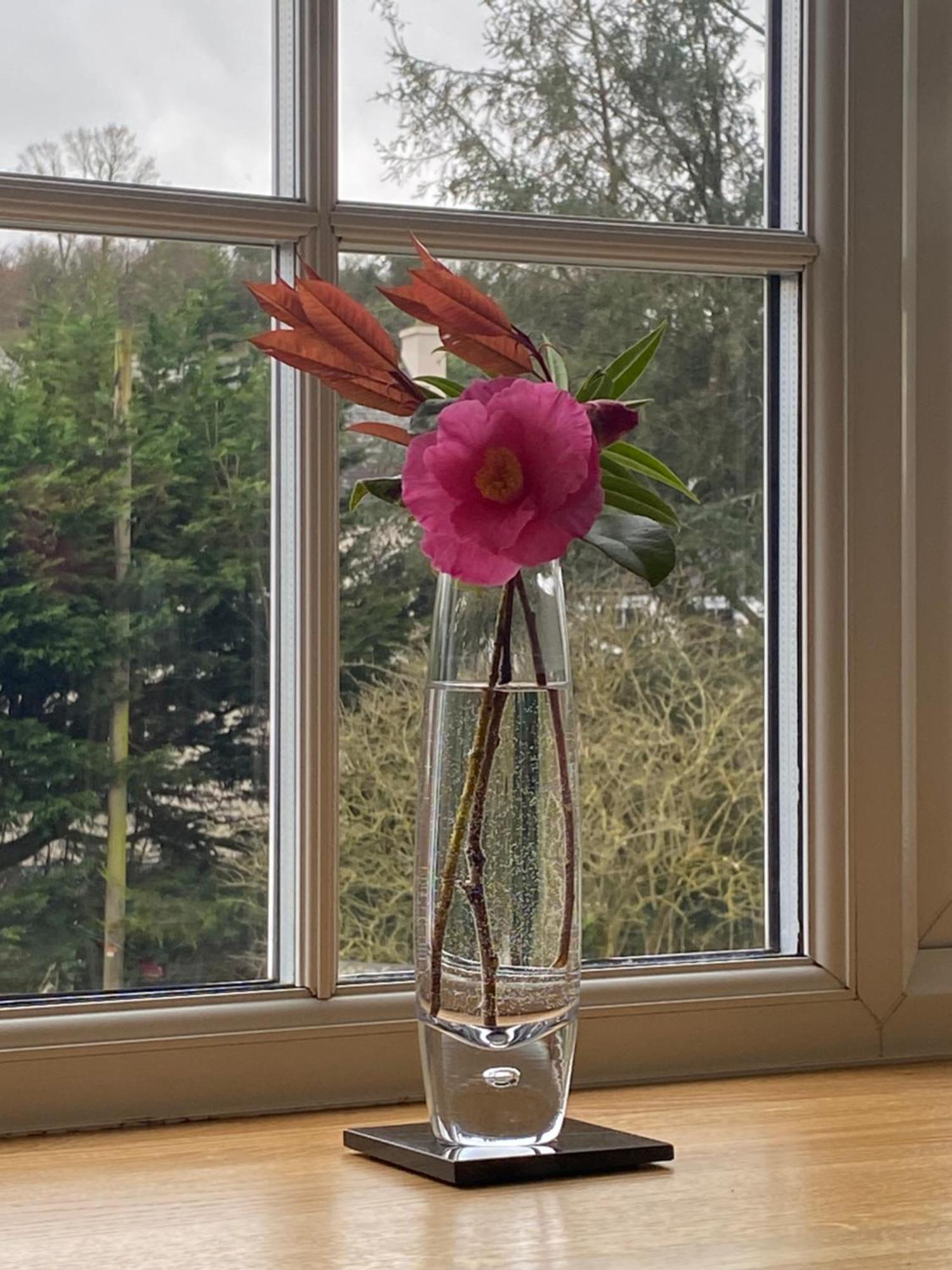 Lynwood House Bed And Breakfast Tregoney Exteriér fotografie